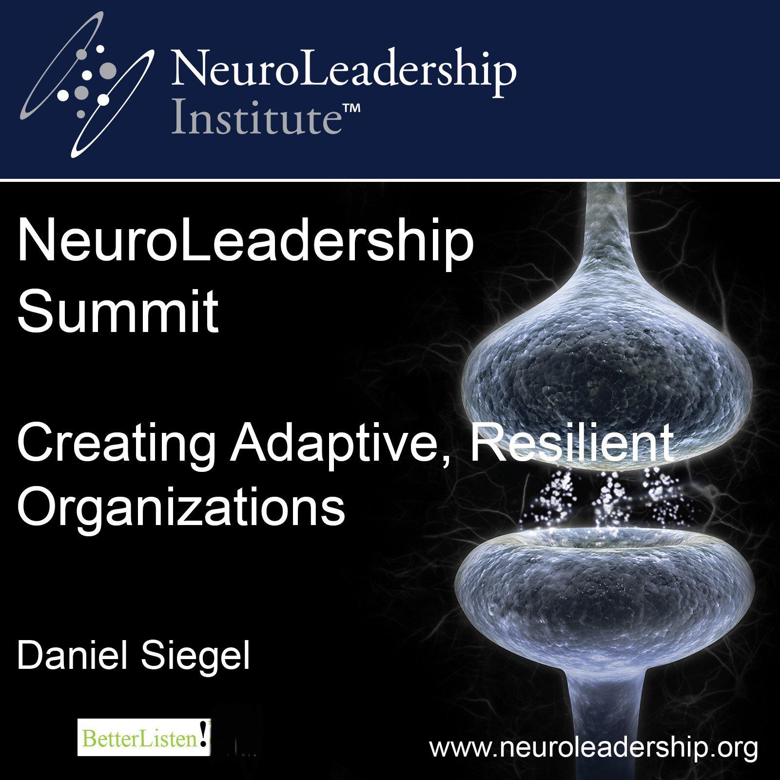 Creating Adaptive, Resilient Organizations with Daniel Siegel Audio Program BetterListen! - BetterListen!