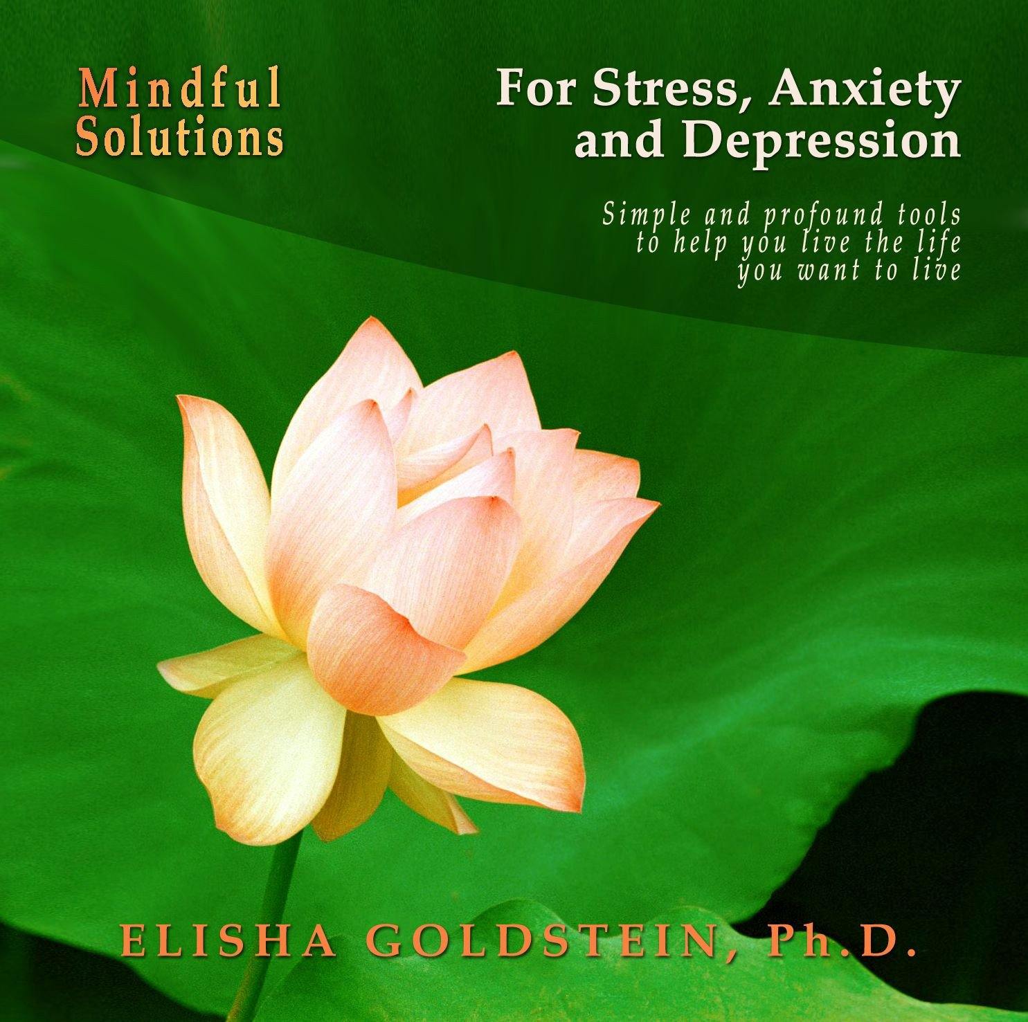 Mindful Solutions for Stress, Anxiety, and Depression with Elisha Goldstein Audio Program Elisha Goldstein - BetterListen!
