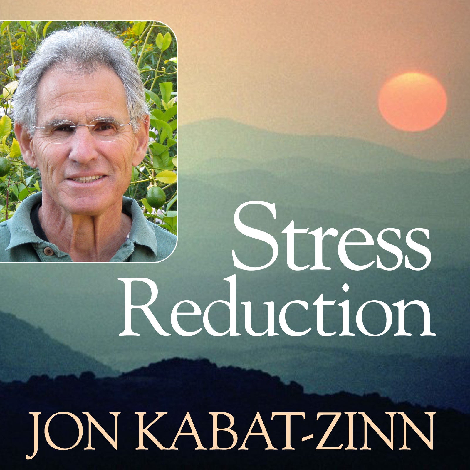 Stress Reduction with Jon Kabat-Zinn  - Audio and Streaming Video Audio Program Jon Kabat-Zinn - BetterListen!