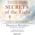 Secrets of The Light: Spiritual Strategies To Empower Your Life by Dannion Brinkley with Kathryn Brinkley