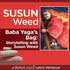 Baba Yaga’s Bag: Storytelling with Susun Weed