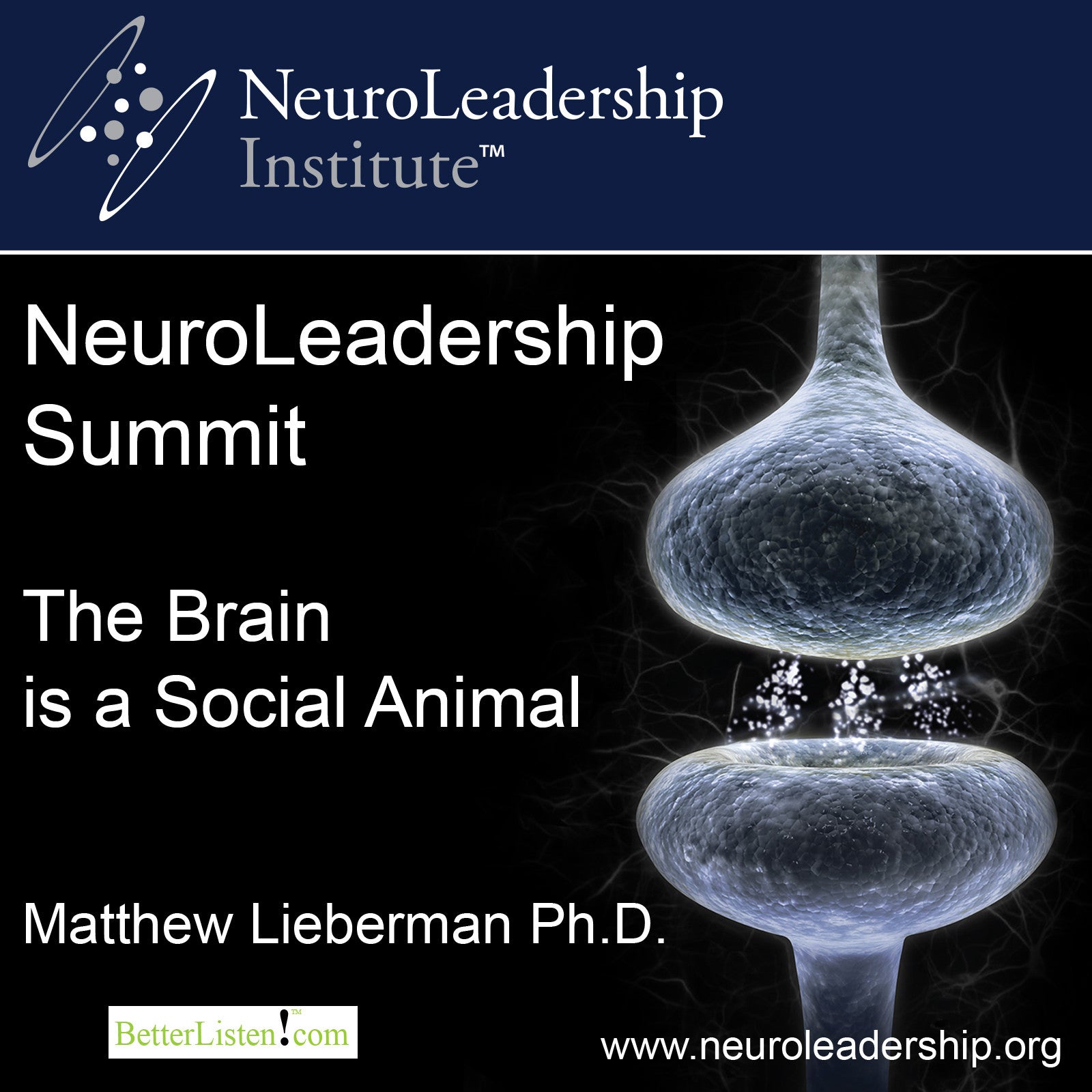 The Brain is a Social Animal with Matthew Lieberman Audio Program BetterListen! - BetterListen!