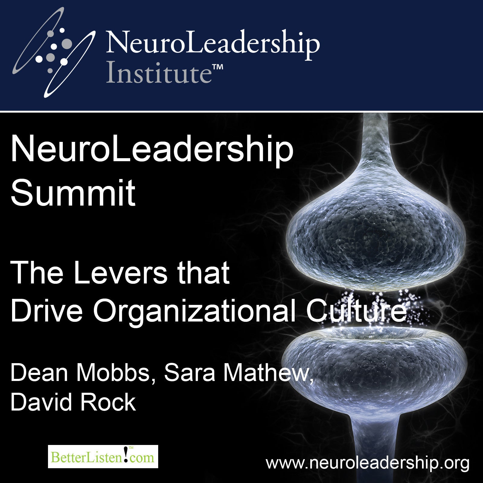 The Levers that Drive Organizational Culture with Dean Mobbs, Sara Mathew, and David Rock Audio Program BetterListen! - BetterListen!