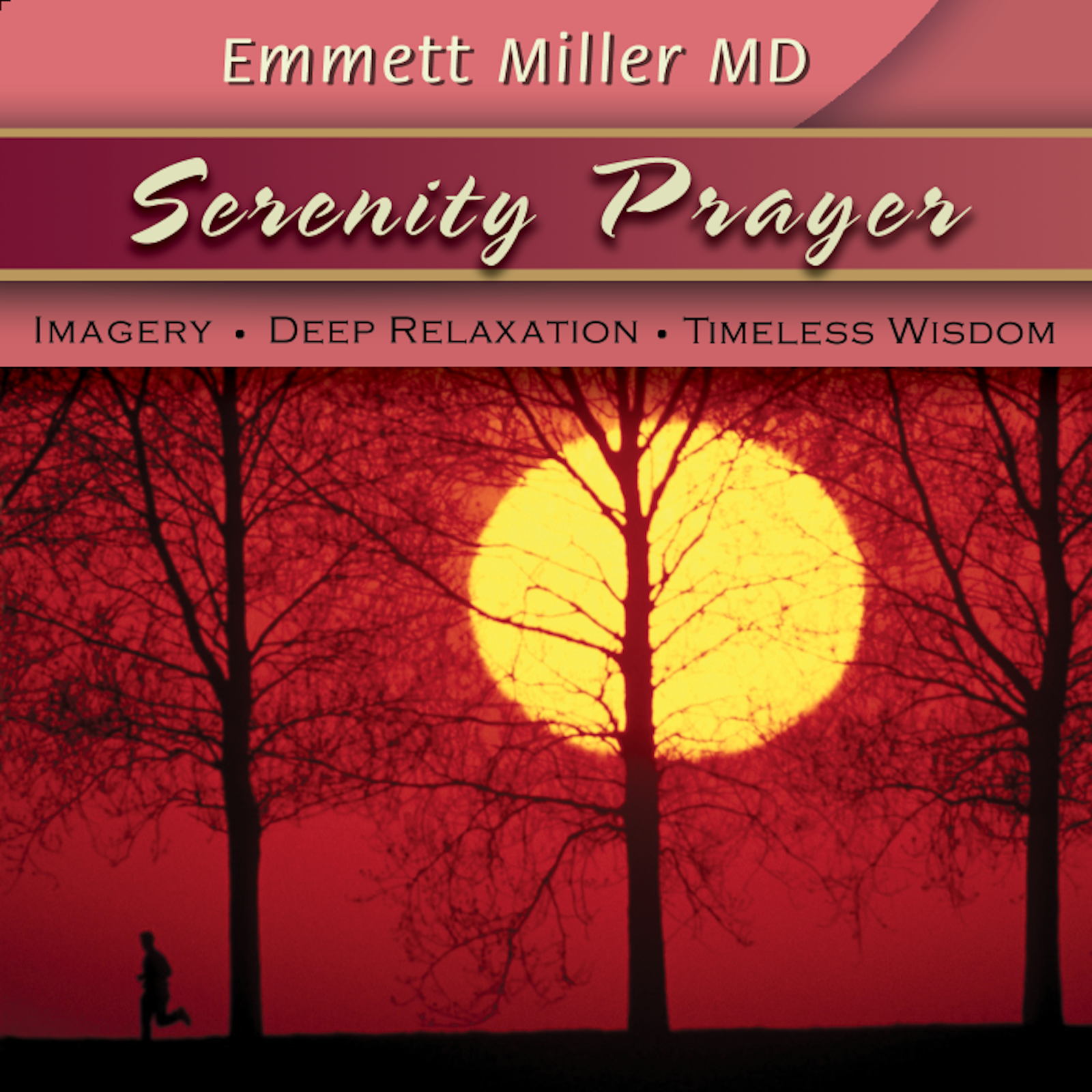 Serenity Prayer with Dr. Emmett Miller Audio Program Dr. Emmett Miller - BetterListen!