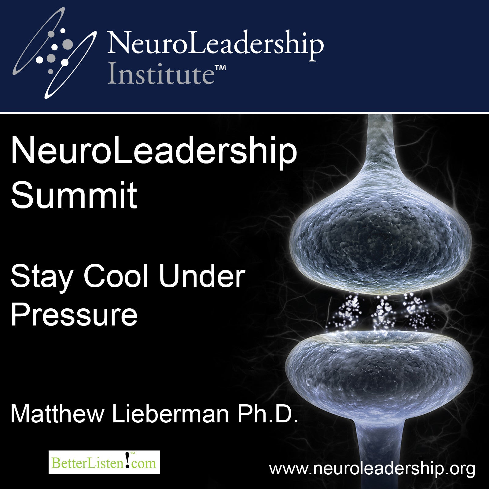 Stay Cool Under Pressure with David Rock & Matthew Lieberman Audio Program BetterListen! - BetterListen!
