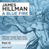 A Blue Fire, Part III with James Hillman Audio Program James Hillman - BetterListen!