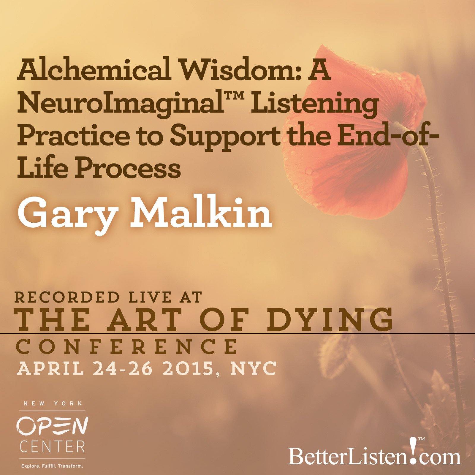 Alchemical Wisdom: A NeuroImaginal Listening Practice to Support the End- of-Life Process with Gary Malkin Audio Program BetterListen! - BetterListen!