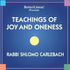 Teachings of Joy and Oneness by Shlomo Carlebach Audio Program BetterListen! - BetterListen!