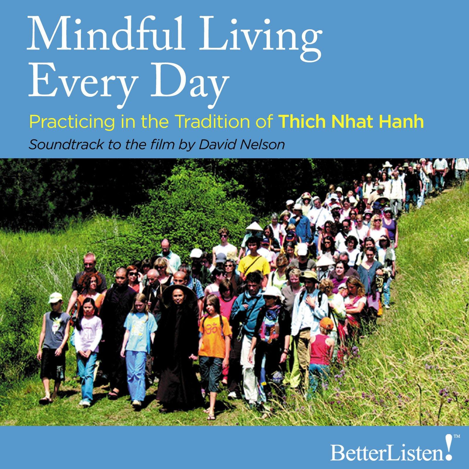 Mindful Living Every Day Practicing in the Tradition of Thich Nhat Hanh video Parallax Press - BetterListen!