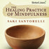 The Healing Practice of Mindfulness with Saki Santorelli - BetterListen!