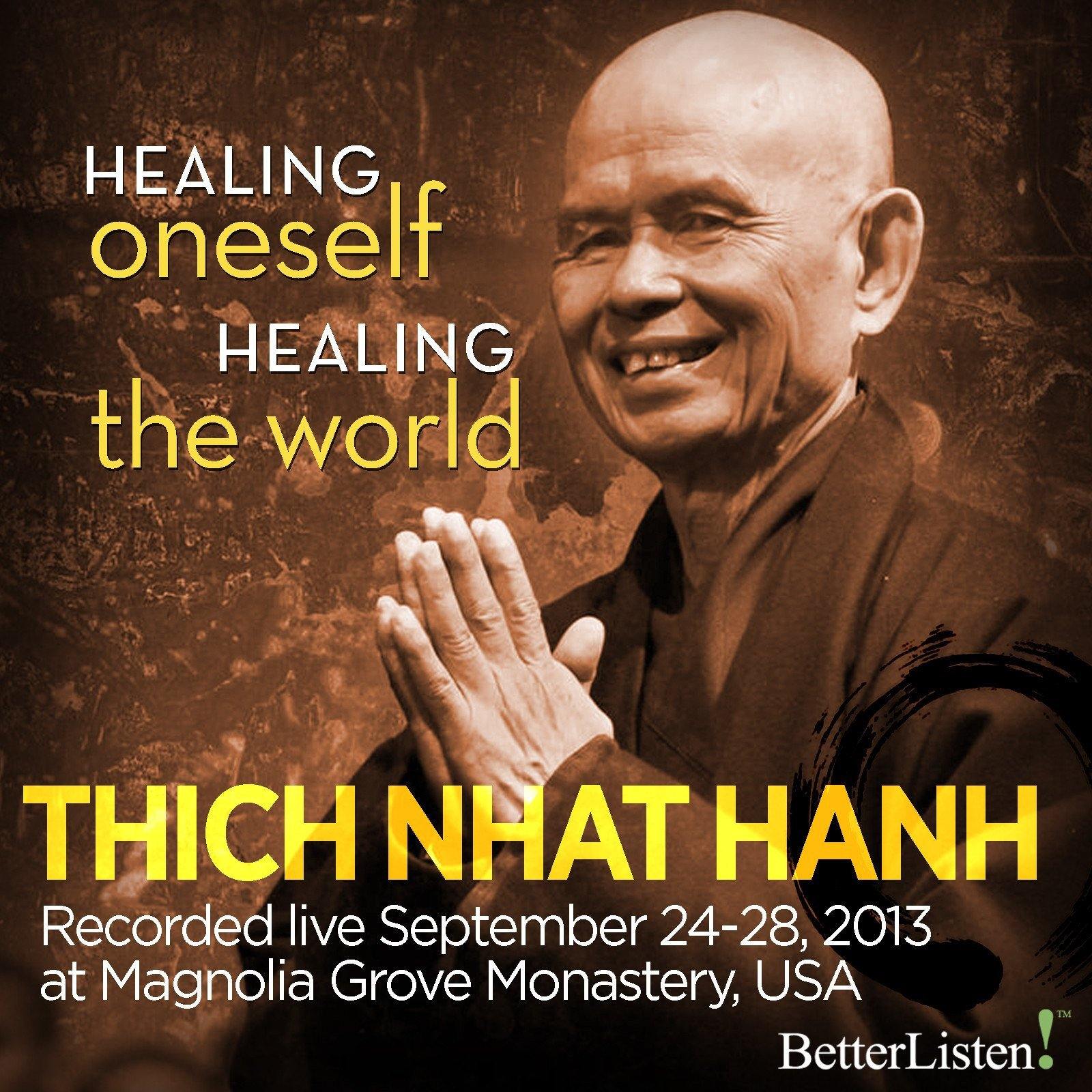 Healing Oneself Healing the World -Thich Nhat Hanh - Dharma Talks Only Audio Program Parallax Press - BetterListen!